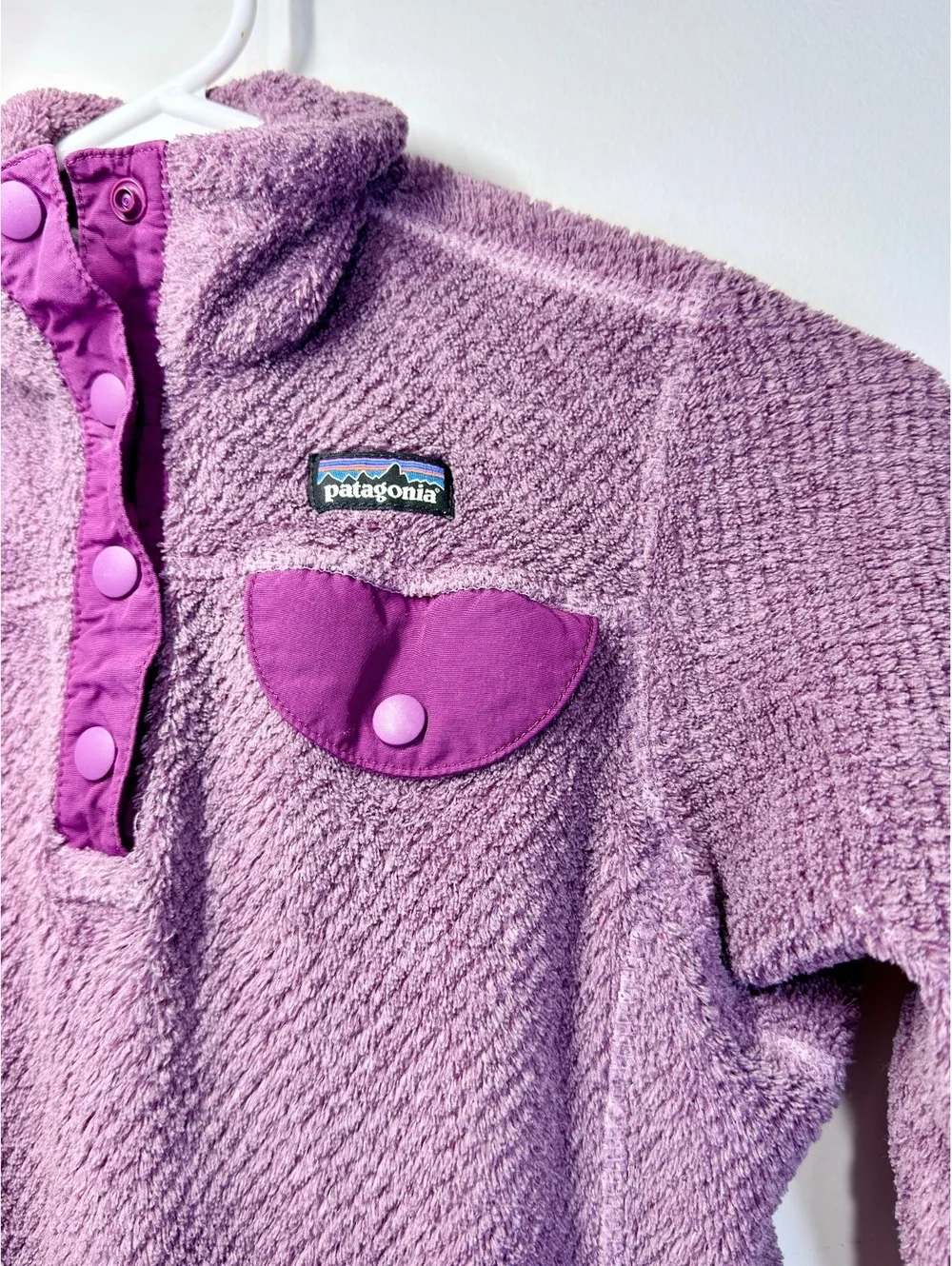 Patagonia this purple